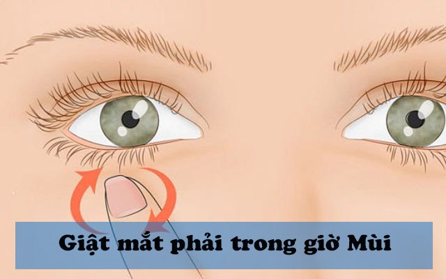 Bị giật mắt trong giờ mão xui không?