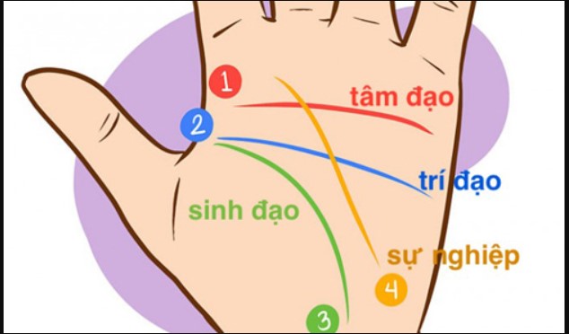 Xem bàn tay trúng số độc đắc